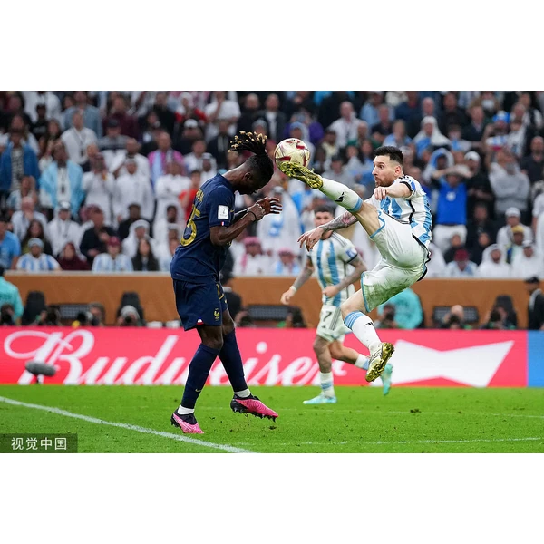 focus-leyu-sports.com APP