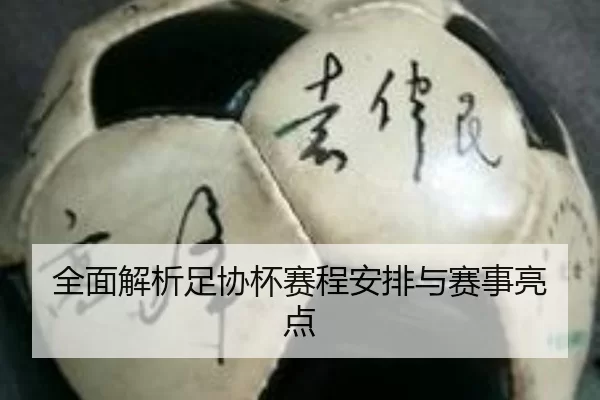 全面解析足协杯赛程安排与赛事亮点